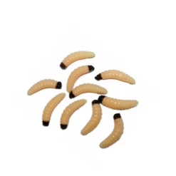 Behr Bienenmaden Jumbo 10 Stück