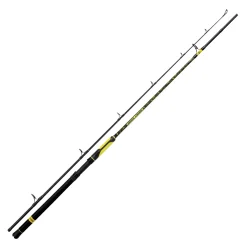 Black Cat Perfect Passion Spin 2,70m 60-200g Welsrute