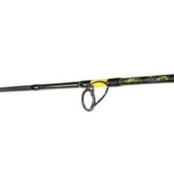 Black Cat Perfect Passion Spin 2,70m 60-200g Welsrute