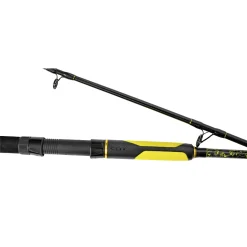 Black Cat Perfect Passion Spin 2,70m 60-200g Welsrute