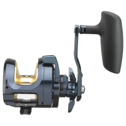 Daiwa 24 Saltiga (G) 15L Multirolle