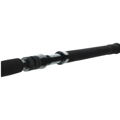 Daiwa BG Big Game 1.68m 20-30lbs Bootsrute