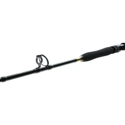 Daiwa BG Big Game 1.68m 20-30lbs Bootsrute