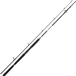 Daiwa BG Offshore Pilk 3,00m 50-165g Pilkrute