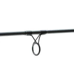 Daiwa Exceler Trad. 2.40m 20-60g Spinnrute