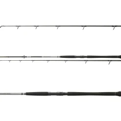 Daiwa Powermesh CF Boje 3,00m 150-400g Welsrute