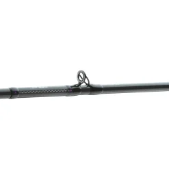 Daiwa Prorex AGS BC Finesse 2.05m 3-14g Baitcast-Rute