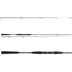Daiwa Seahunter X 2.70m 30-60g Herings-Meeresrute
