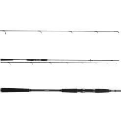 Daiwa Seahunter X Seatrout 3.10m 10-40g Meerforellenrute