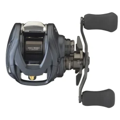 Daiwa STEEZ A II TW 1000L Baitcastrolle