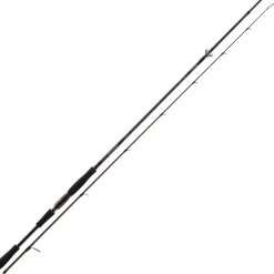 Daiwa TN AGS Spin 2.70m 28-84g Premium Rute