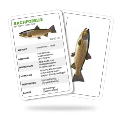 Fishing-King Fisch-Lernkarten