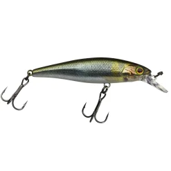ILLEX Squad Minnow 65 SP RT Visible Roach Wobbler