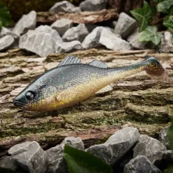 Jackson Green Pure Perch Shad 10,0cm Midnight Black Gummifisch