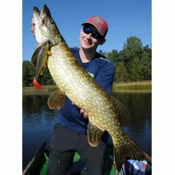 Jackson The Trout 13cm Rainbow Trout Gummifisch