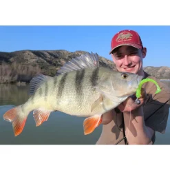 Jackson The Worm 15,0cm Hot Pumpkin Gummiköder