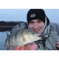 Jackson The Worm 7,5cm Salt n Pepper Gummiköder