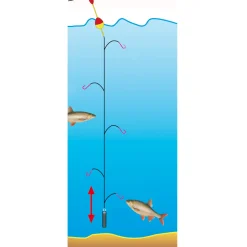 Jenzi Premium Hegene Dora Gr.14 – 5 Nymphen