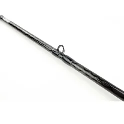 Sportex Hydra RS-3 BC HY2000 2,15m 3-15g Baitcastrute