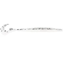 Westin Ned Worm Curl 12cm 3g Shiner 5 Stück Gummiwurm