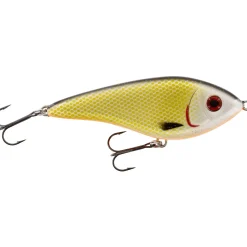 Westin Swim 15cm Suspending Official Roach Jerkbait