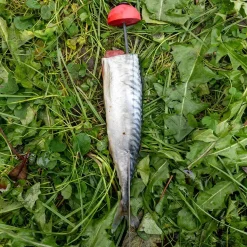 Zeck DB Pop Up Kit 3pcs Auftriebskörper