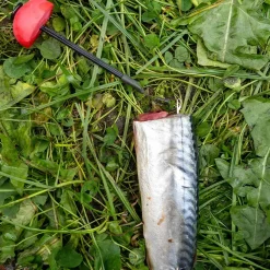 Zeck DB Pop Up Stick 2pcs Auftriebskörper