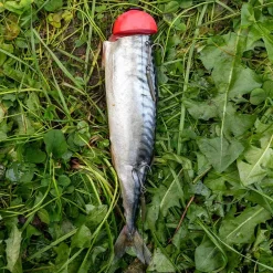 Zeck DB Pop Up Stick 2pcs Auftriebskörper