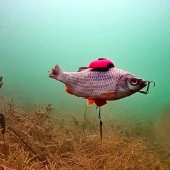 Zeck DB Rucksack Float Mix 2pcs Auftriebskörper