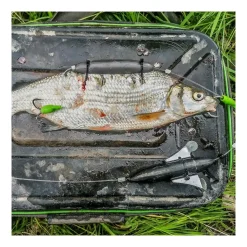 Zeck Deadbait U-Float 15g Unterwasser-Pose