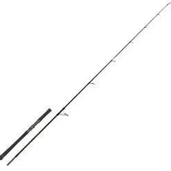 Zeck Evo Cat Spin 243cm 20-120g Welsrute Wallerrute